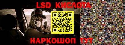 ПСИЛОЦИБИНОВЫЕ ГРИБЫ Гусев