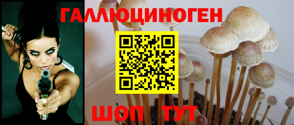 Псилоцибиновые грибы мицелий Нефтекамск